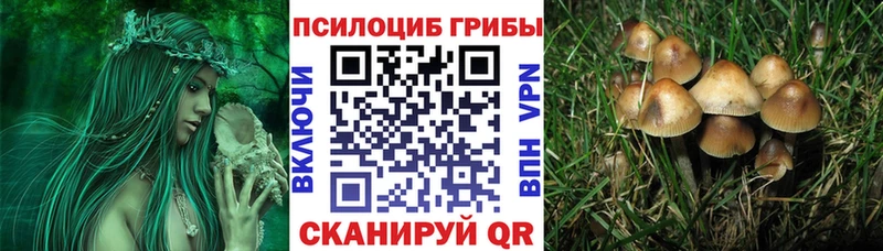 Галлюциногенные грибы ЛСД  Купить закладки  Нахабино 