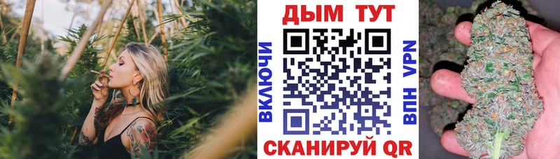 Купить где  Нахабино  Конопля VHQ 